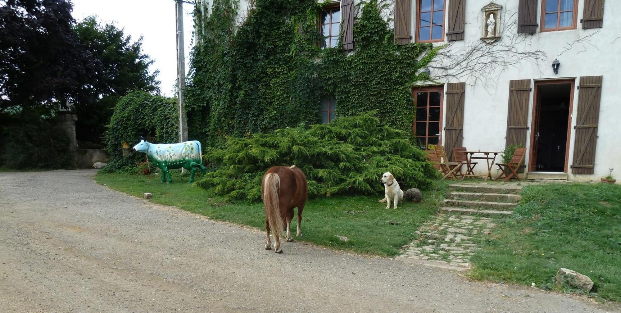 Ferme Du Montheu Bed and Breakfast Dommartin sous Amance Buitenkant foto